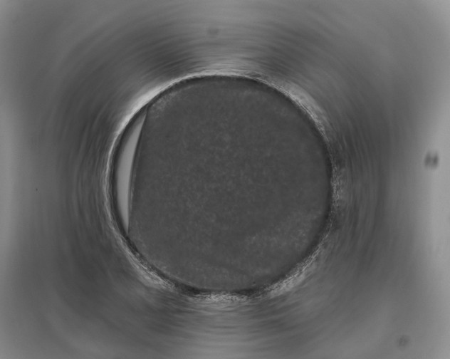 X0000097291077200802291745
