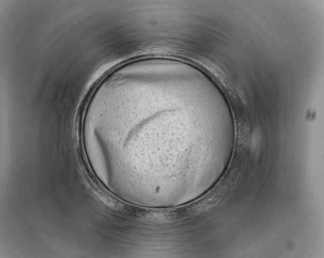 X0000097291078200802291745