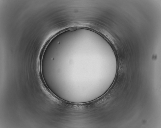X0000097291080200802291745