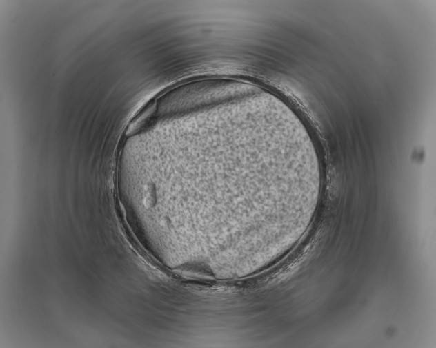 X0000097291081200802291745