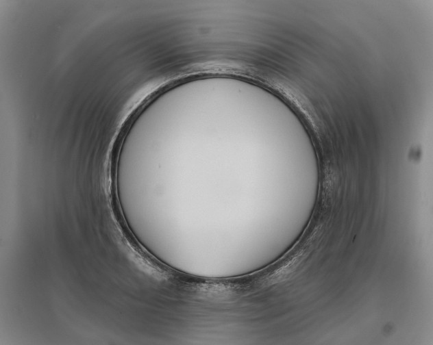 X0000097291082200802291745