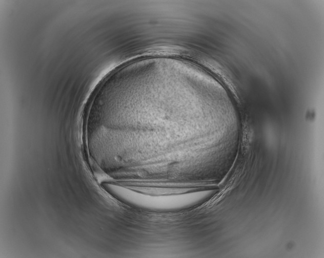 X0000097291083200802291745
