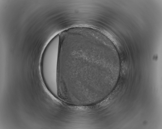 X0000097291084200802291745