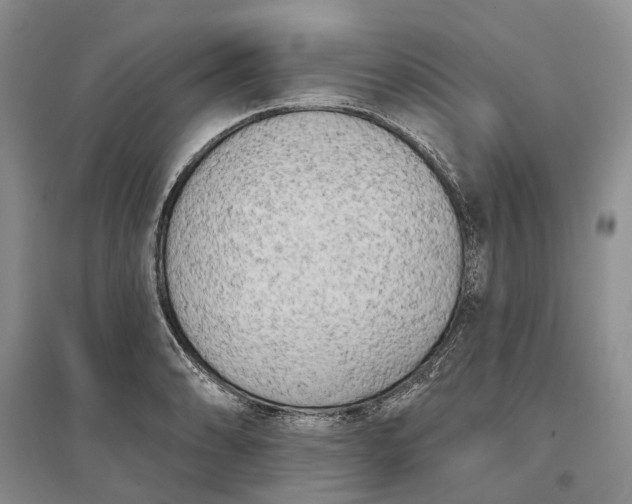 X0000097291086200802291745
