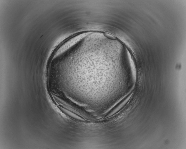 X0000097291088200802291745