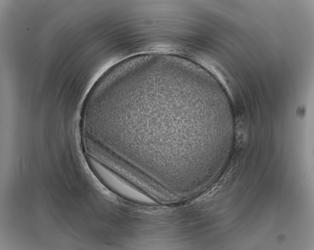 X0000097291091200802291745