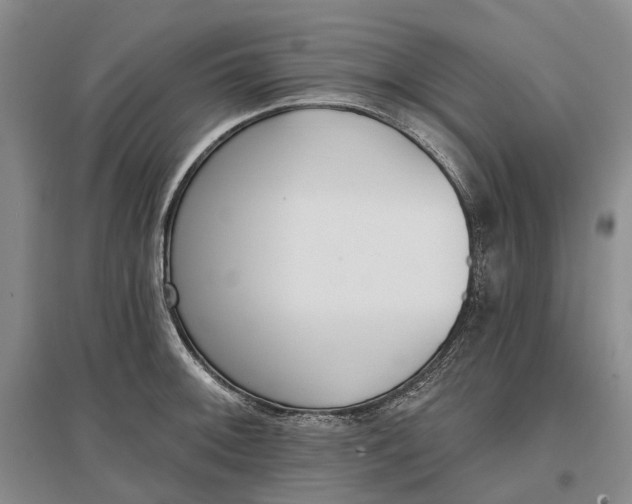 X0000097291092200802291745