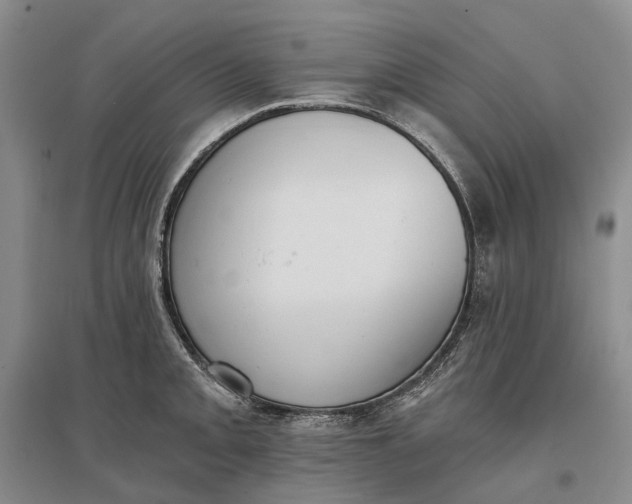 X0000097291093200802291745