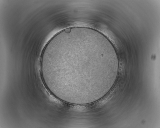 X0000097291094200802291745