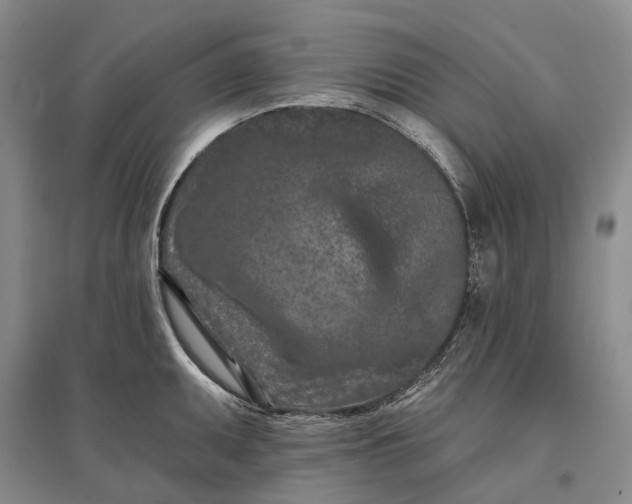 X0000097291095200802291745