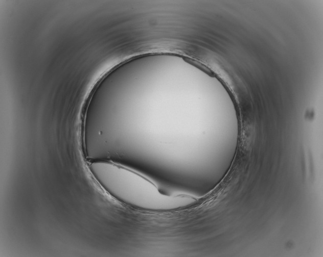 X0000097291096200802291745