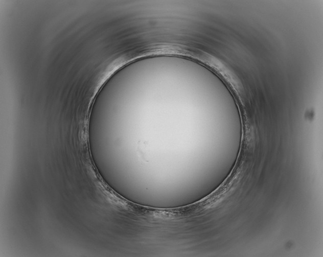 X0000097291097200802291745