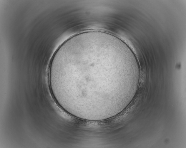 X0000097291098200802291745