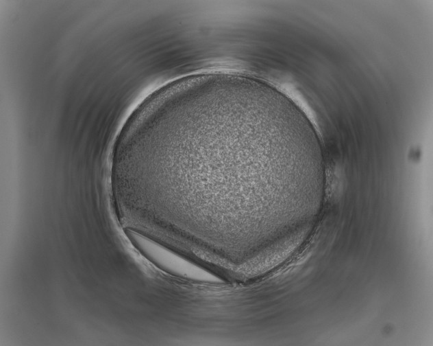 X0000097291099200802291745