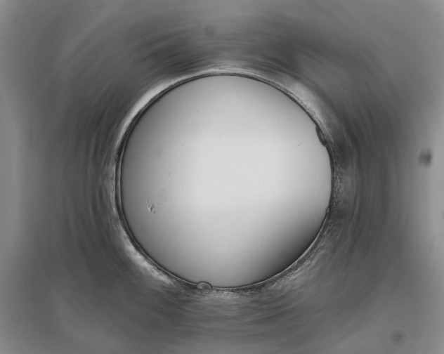X0000097291100200802291745