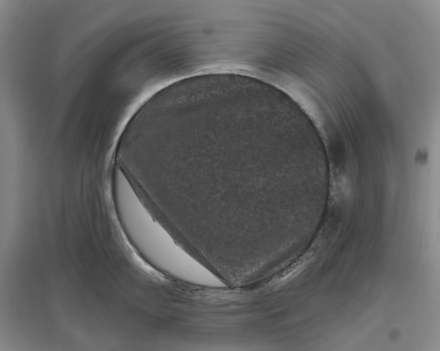 X0000097291102200802291744