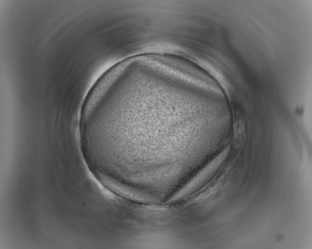 X0000097291103200802291744