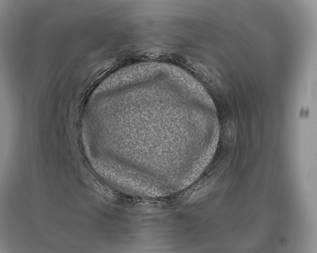 X0000097291105200802291744