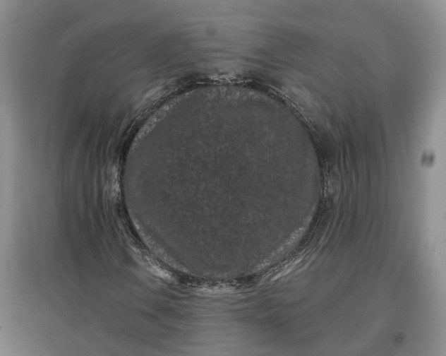 X0000097291106200802291744