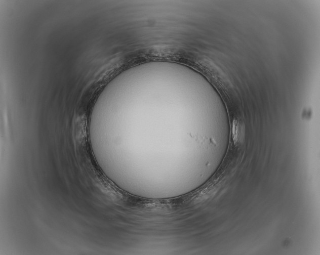 X0000097291107200802291744