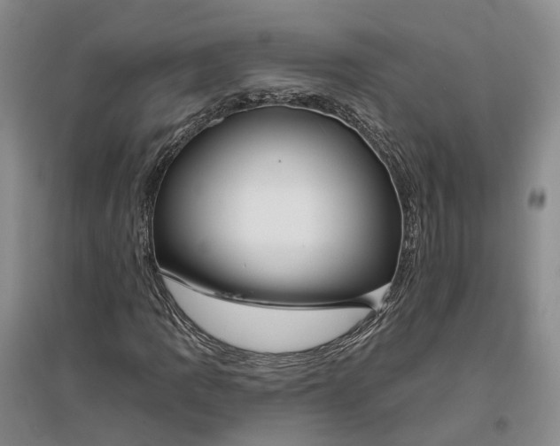 X0000097291109200802291744