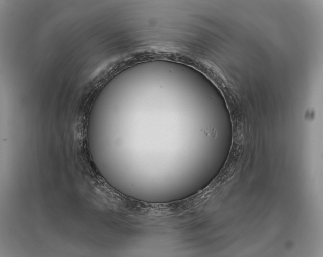 X0000097291110200802291744