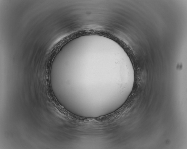 X0000097291112200802291744