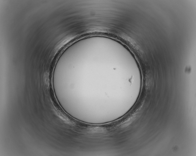 X0000097291113200802291744