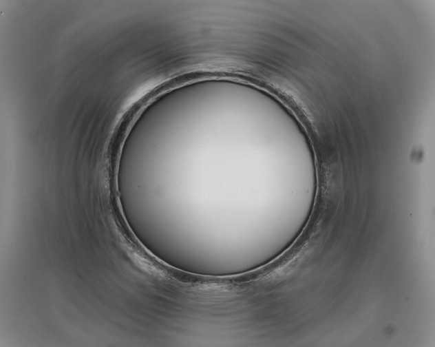 X0000097291114200802291744