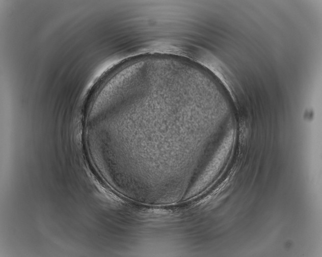 X0000097291115200802291744