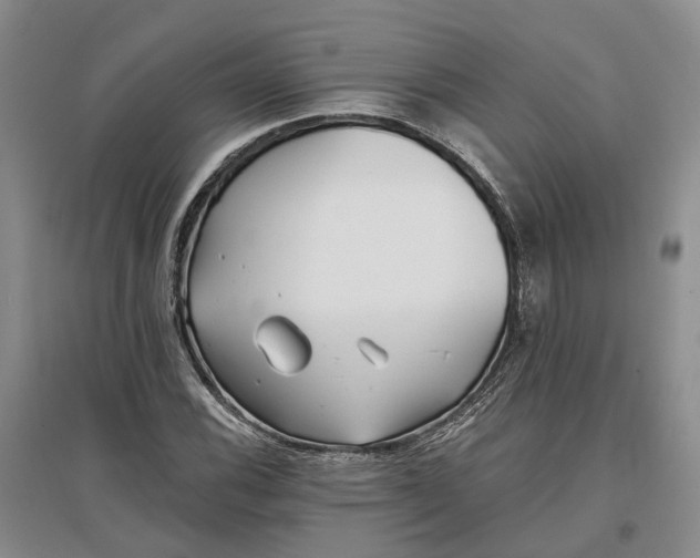 X0000097291116200802291744