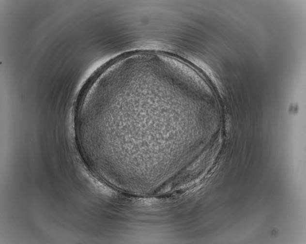 X0000097291120200802291744