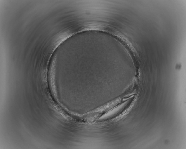 X0000097291121200802291744