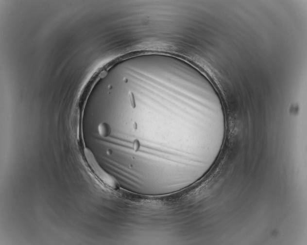 X0000097291123200802291744