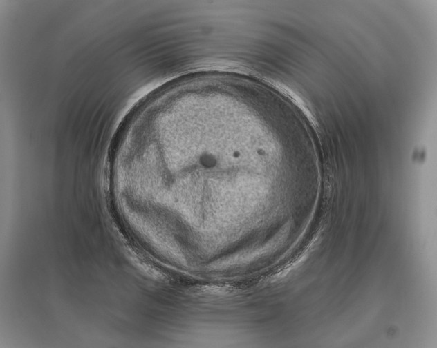 X0000097291125200802291744