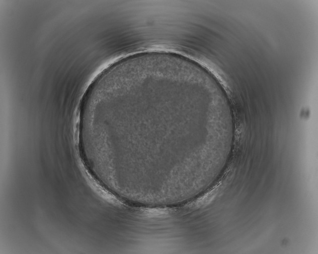 X0000097291126200802291744