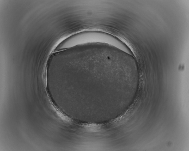 X0000097291127200802291744