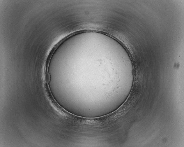 X0000097291128200802291744