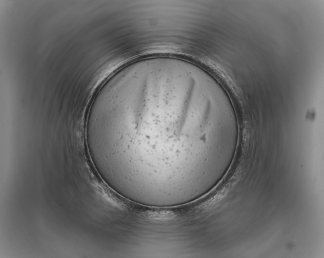 X0000097291129200802291744