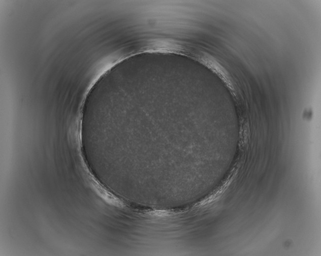 X0000097291130200802291744