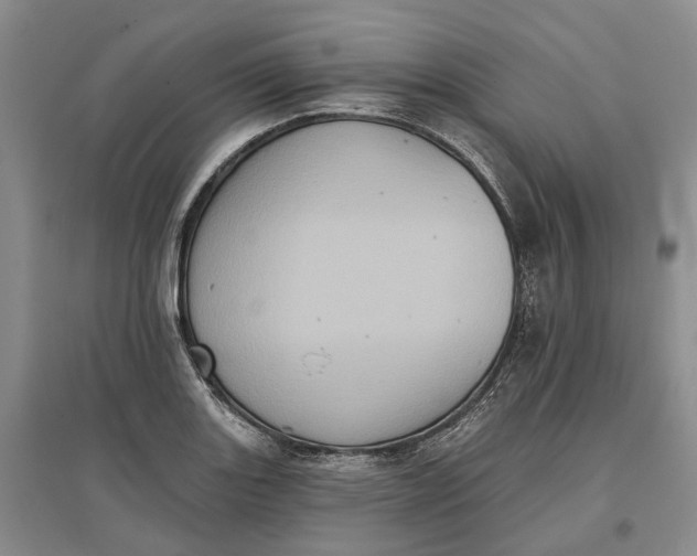 X0000097291131200802291744