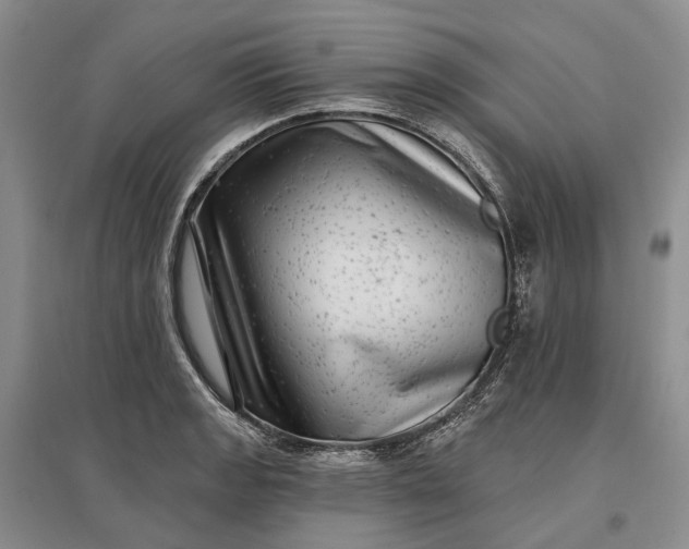 X0000097291133200802291744