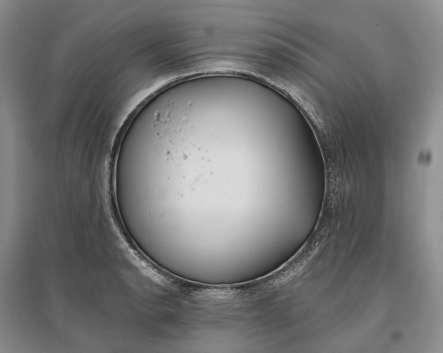 X0000097291134200802291744