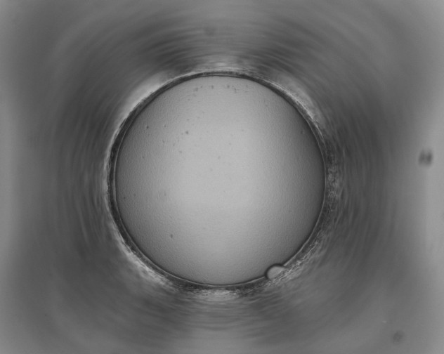 X0000097291135200802291744