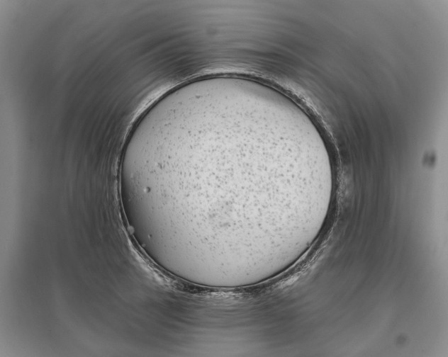 X0000097291137200802291744