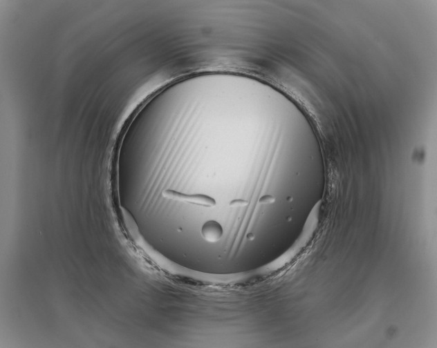 X0000097291138200802291744