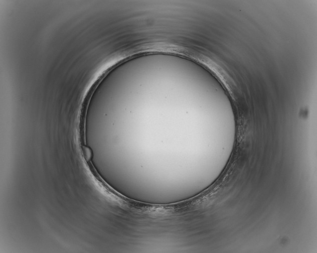 X0000097291139200802291744