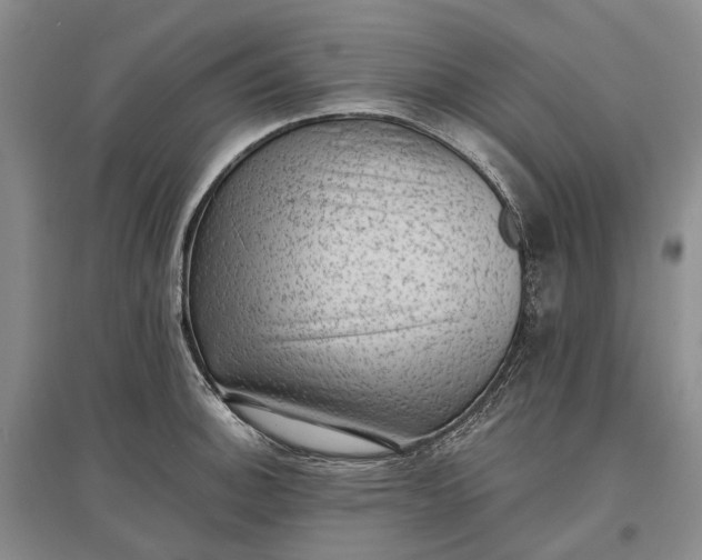 X0000097291140200802291744