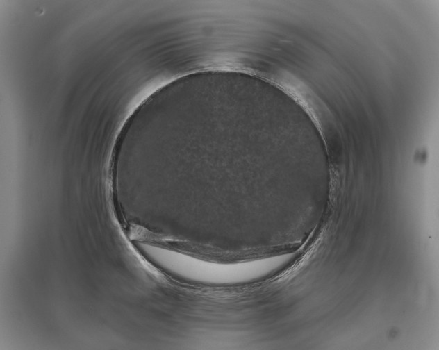 X0000097291141200802291744