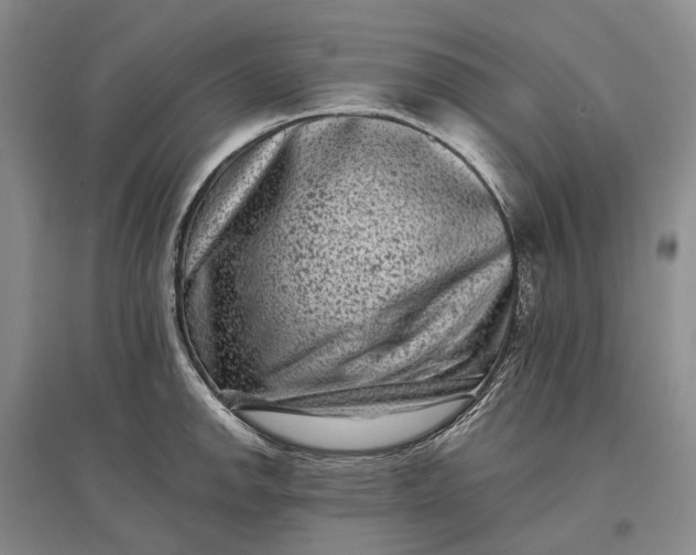 X0000097291142200802291744